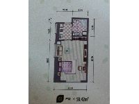 东海精工社大麦公寓G1户型50.42㎡-1室1厅1厨1卫