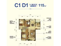 宝能城C1D1户型115平米3+1室2厅2卫